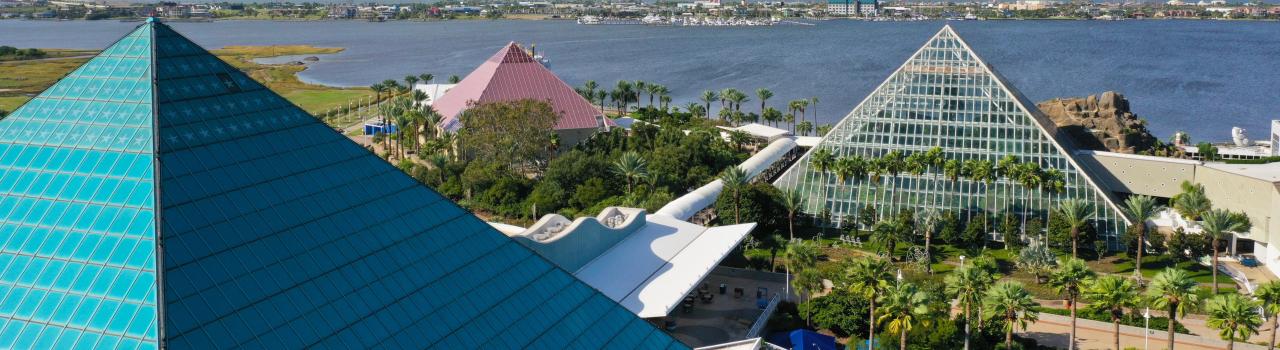 德克萨斯州加尔维斯顿的穆迪花园