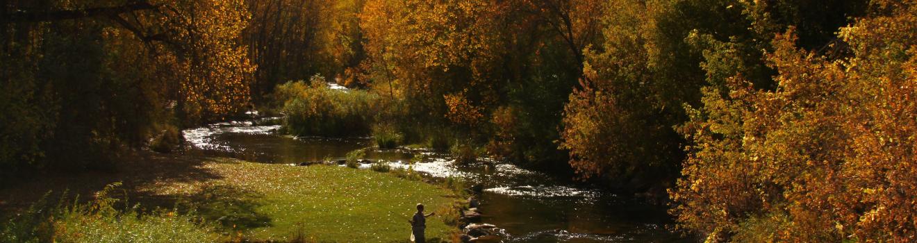 在拉皮德城尽享垂钓乐趣 在拉皮德城尽享垂钓乐趣
