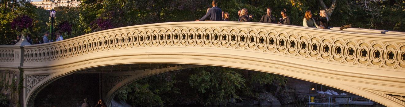 中央公园的标志性桥梁之一