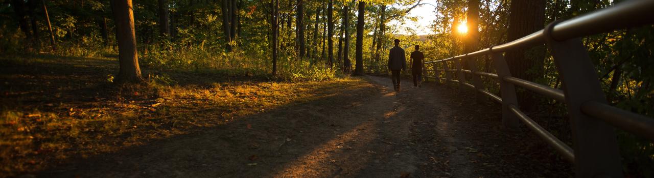纽约州尼亚加拉大瀑布附近的一条徒步小道上