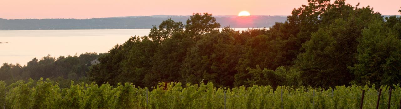 日落的夕阳越过特拉弗斯城附近的 Leelanau 半岛