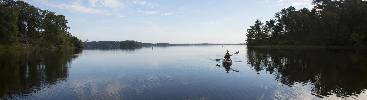 在基萨奇国家森林划皮艇 在基萨奇国家森林划皮艇