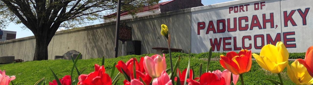 帕迪尤卡港和河边盛情绽放的郁金香