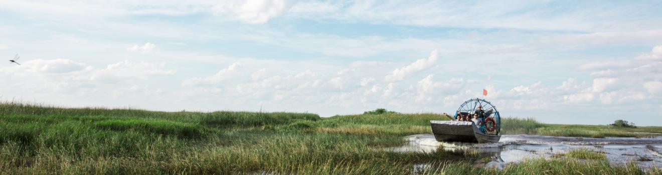 在佛罗里达州迈阿密附近的大沼泽地乘坐汽艇进行户外探险