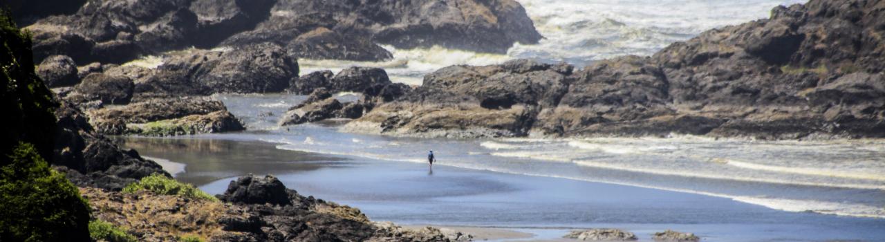 长滩半岛海岸 Beards Hollow 镇的鸟瞰图