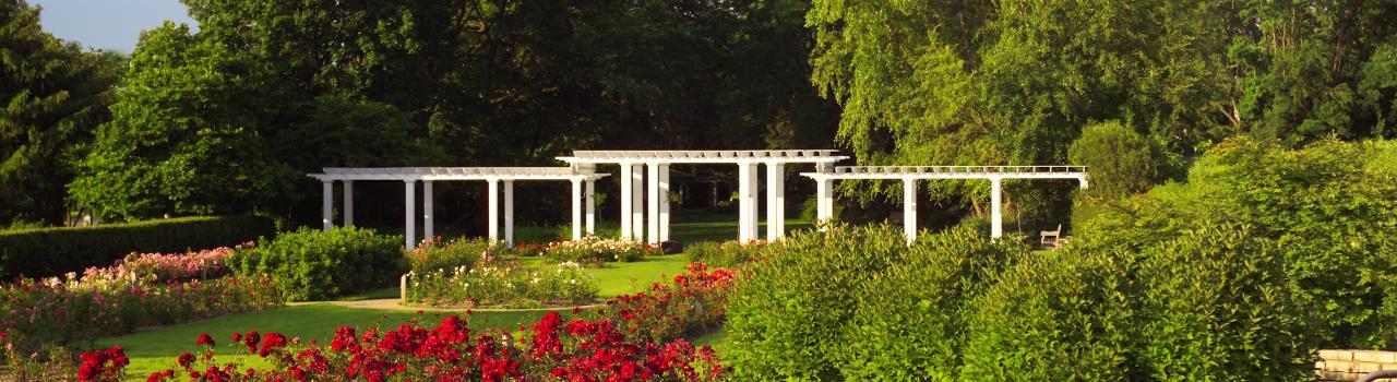 伊利诺伊州罗克福德的大花园之一 Sinnissippi 花园 伊利诺伊州罗克福德的大花园之一 Sinnissippi 花园