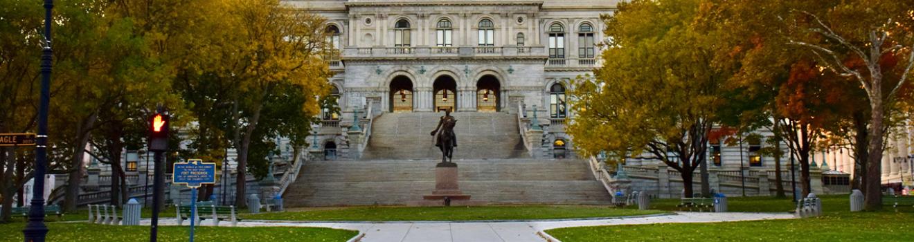 奥尔巴尼的纽约州州议会大厦 奥尔巴尼的纽约州州议会大厦