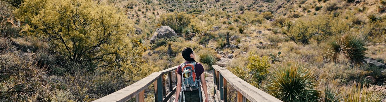 在德克萨斯州埃尔帕索的富兰克林州立公园享受徒步乐趣