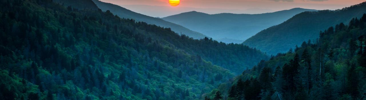 大烟山国家公园距田纳西州诺克斯维尔约 1 小时车程 大烟山国家公园距田纳西州诺克斯维尔约 1 小时车程