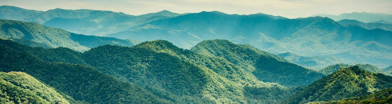田纳西州塞维尔维尔附近大烟山国家公园内的葱郁景致 田纳西州塞维尔维尔附近大烟山国家公园内的葱郁景致