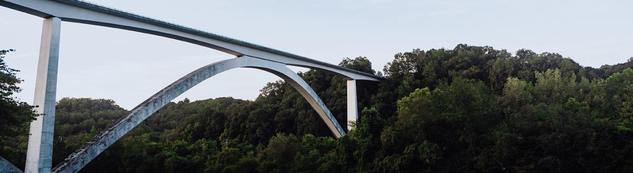 田纳西州富兰克林纳切兹小道公路 田纳西州富兰克林纳切兹小道公路