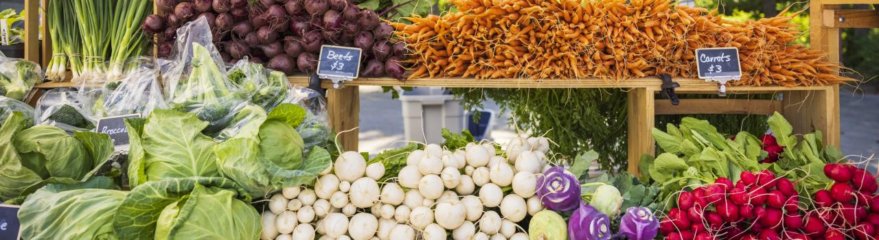 蒙大拿州利比农贸市场摆出新鲜农产品