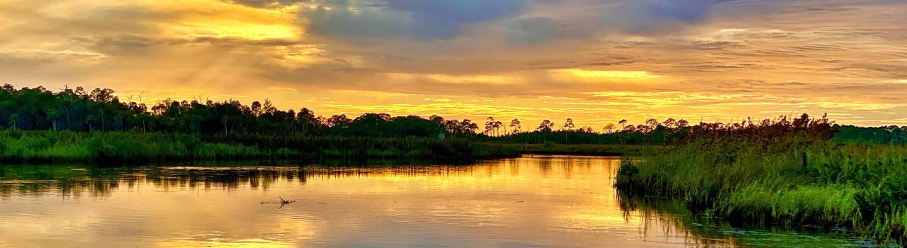 在墨西哥湾的夕阳下划皮划艇