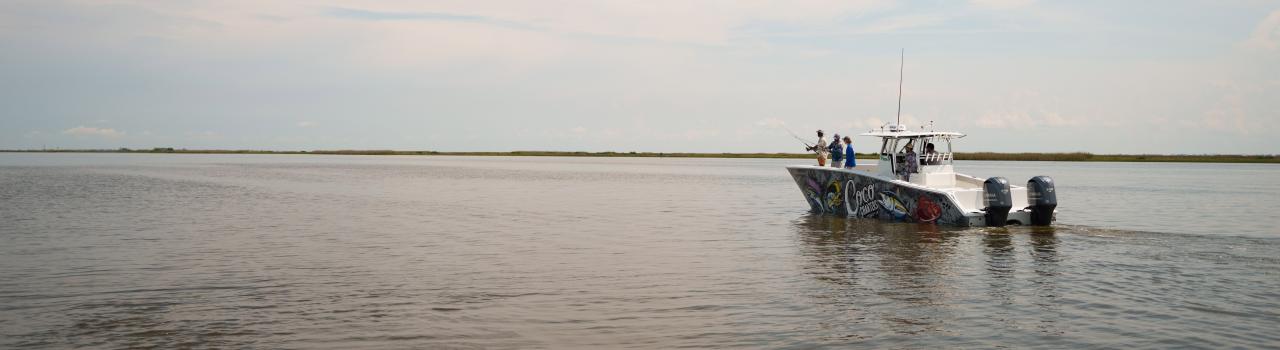 在路易斯安那州霍马附近垂钓