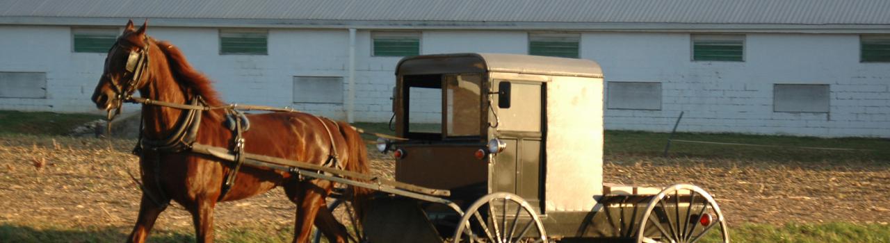 在宾夕法尼亚州兰卡斯特的一条农场公路上，一辆马车缓缓驶过