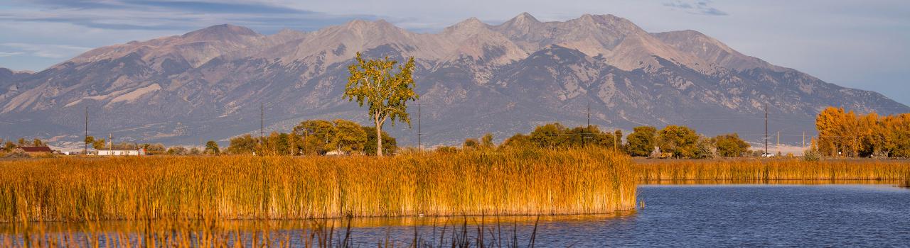 科罗拉多州阿拉莫萨附近的布兰卡野生动物栖息地 科罗拉多州阿拉莫萨附近的布兰卡野生动物栖息地