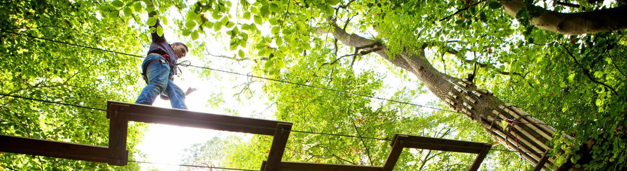 在密苏里州马里兰高地的 Go Ape 空中飞索和探险公园参加树顶障碍赛