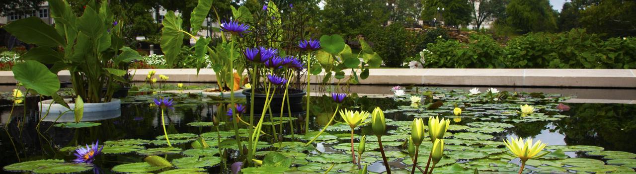 密苏里州杰斐逊城卡纳汉纪念花园的园林美景