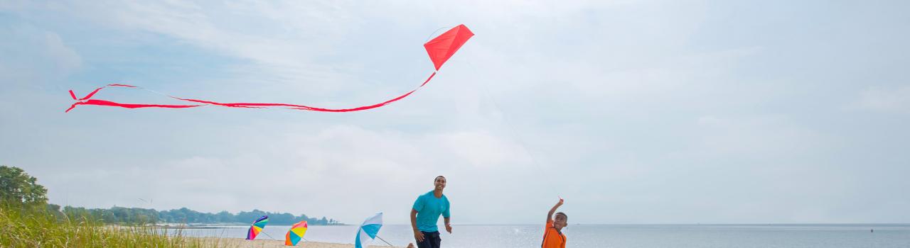 在康涅狄格州韦斯特波特，一家人在舍伍德岛州立公园放风筝