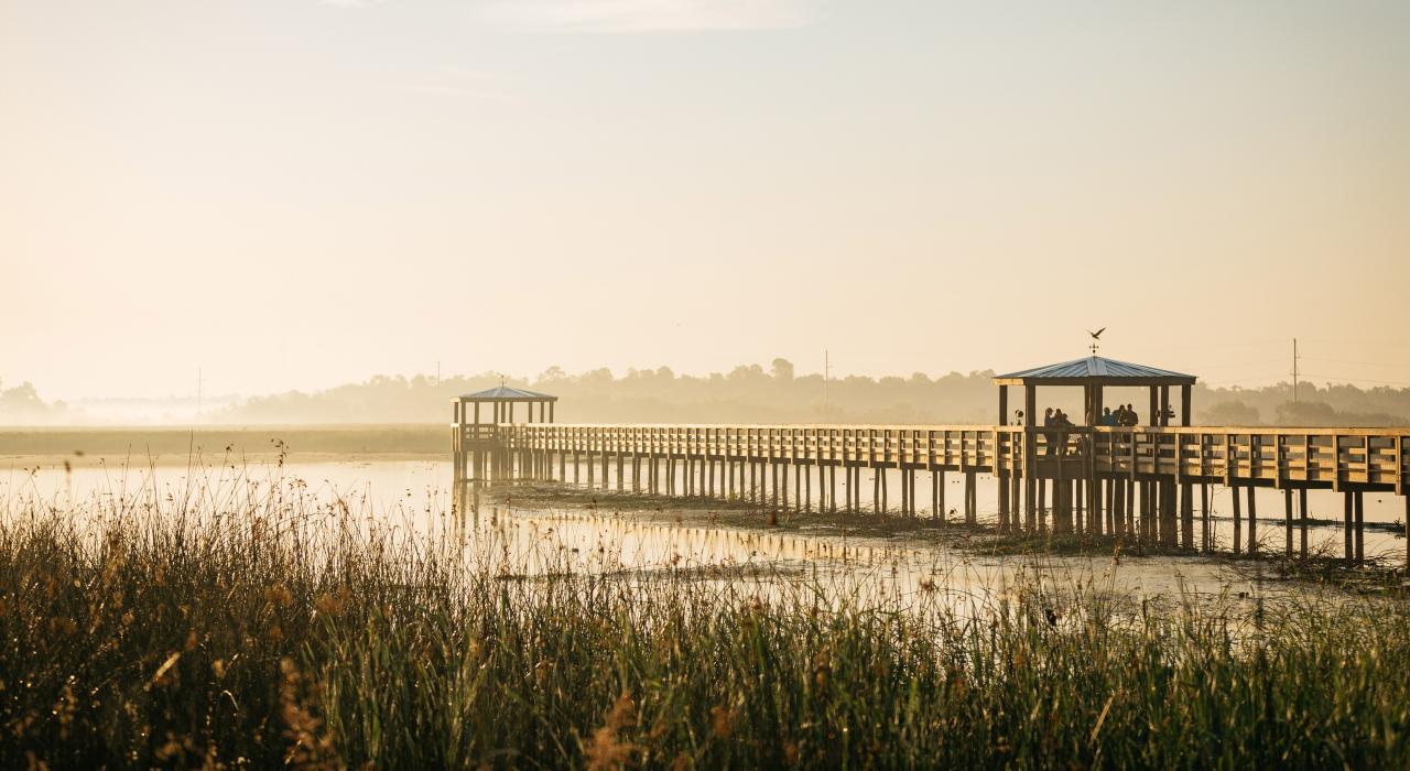 在德克萨斯州博蒙特的 Cattail Marsh Scenic Wetlands & Boardwalk 上观鸟