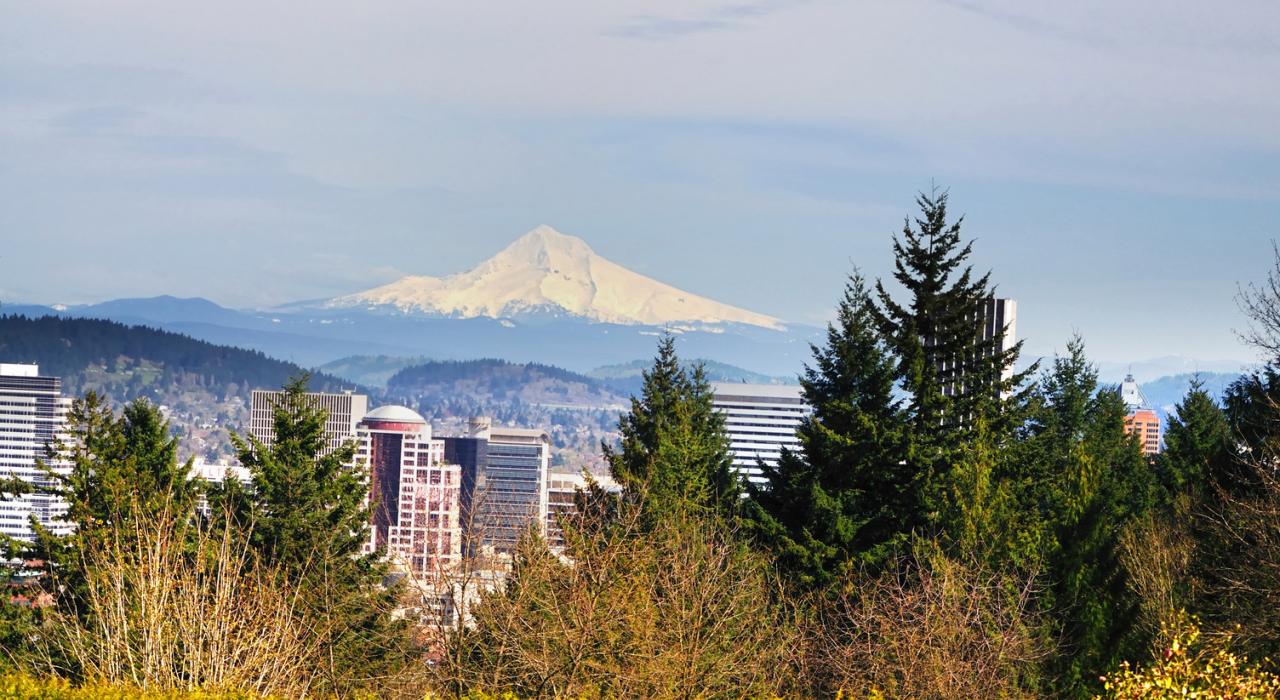 从华盛顿公园欣赏俄勒冈州波特兰和胡德山的风景
