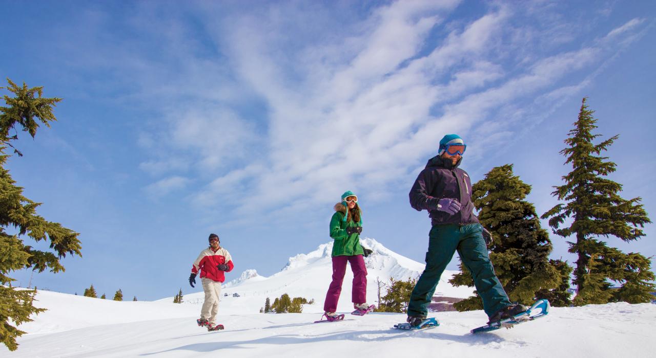 在林界小屋度假村滑雪区雪鞋健行 在林界小屋度假村滑雪区雪鞋健行