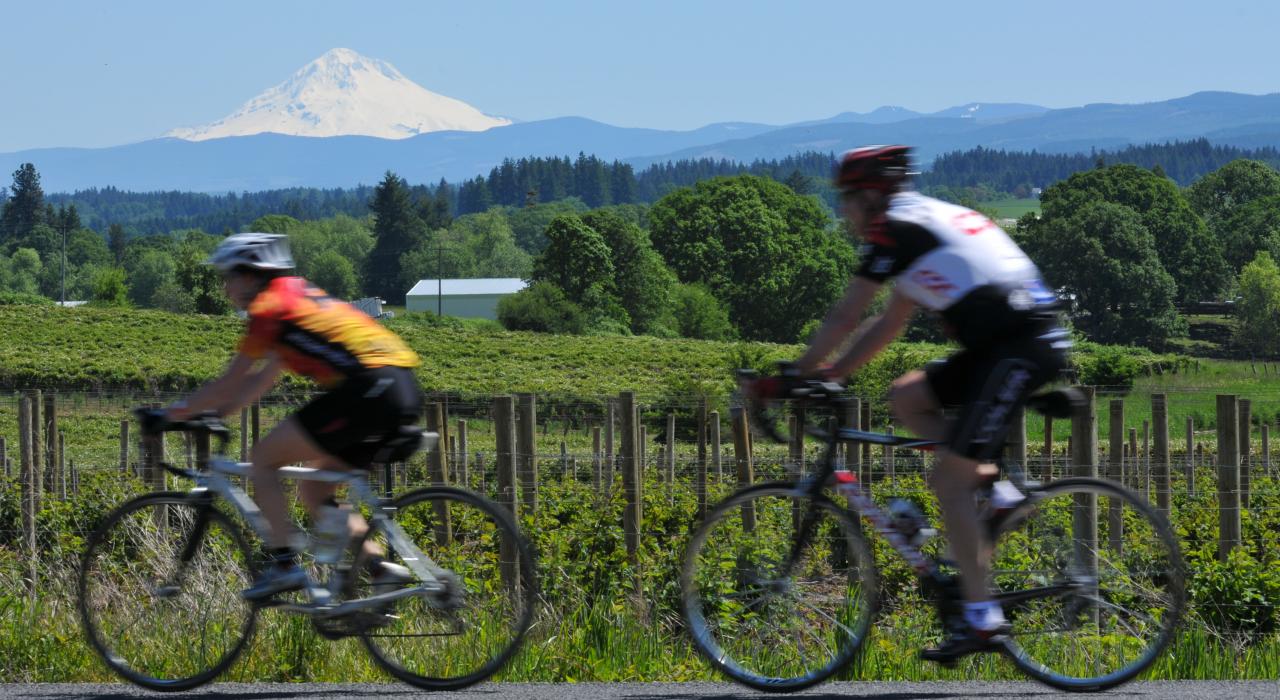 角逐 Pioneer Century 自行车赛的选手 角逐 Pioneer Century 自行车赛的选手