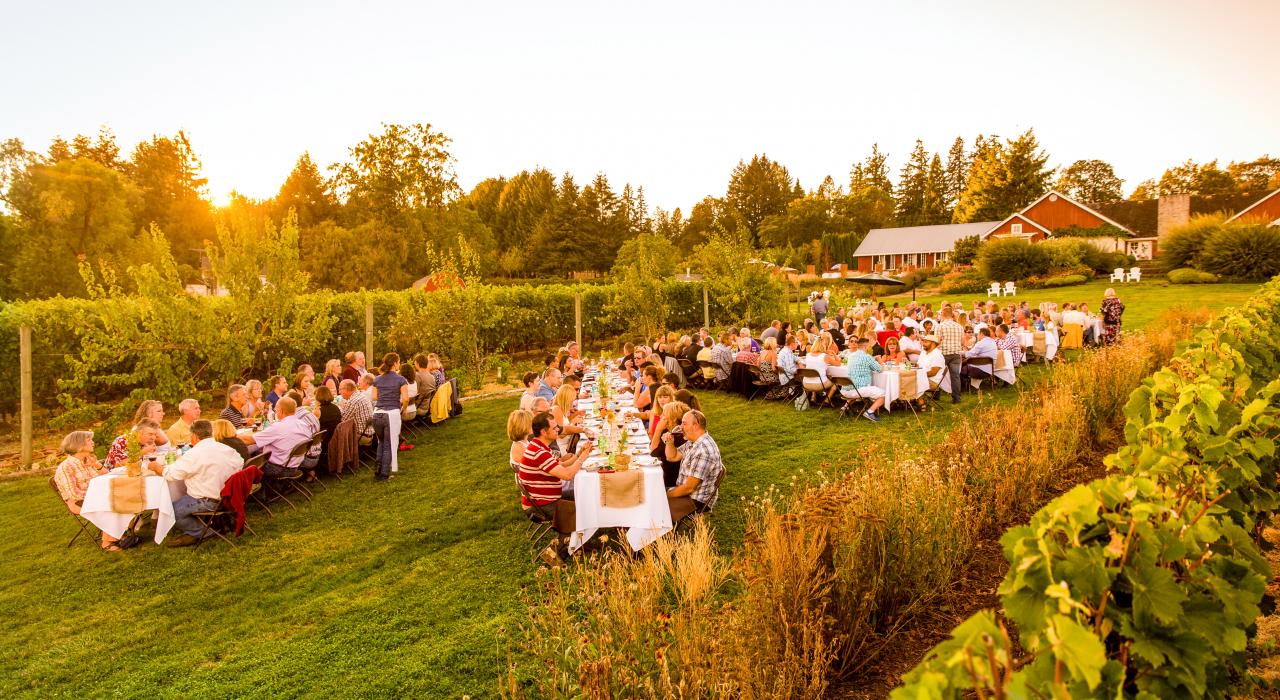 在泰拉维纳酒庄享用户外美食 在泰拉维纳酒庄享用户外美食