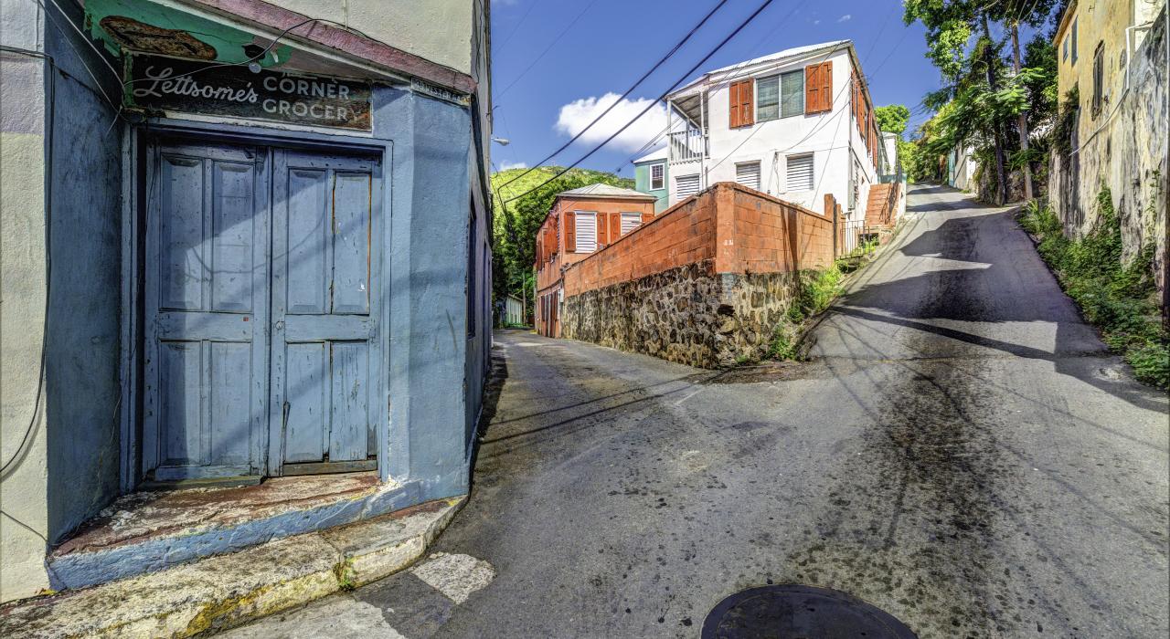 夏洛特阿马利亚老城区有着 200 年历史的建筑