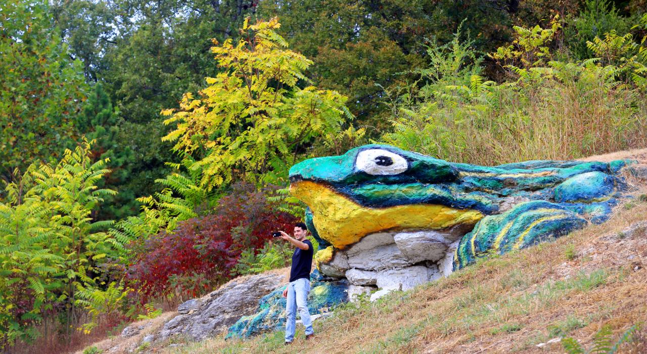 韦恩斯维尔的吉祥物青蛙石傲视着密苏里州的普拉斯基郡。