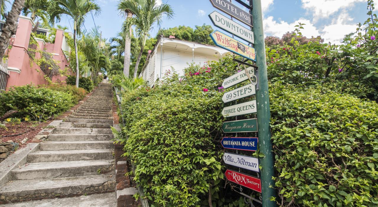 夏洛特阿马利亚的 99 级台阶小道