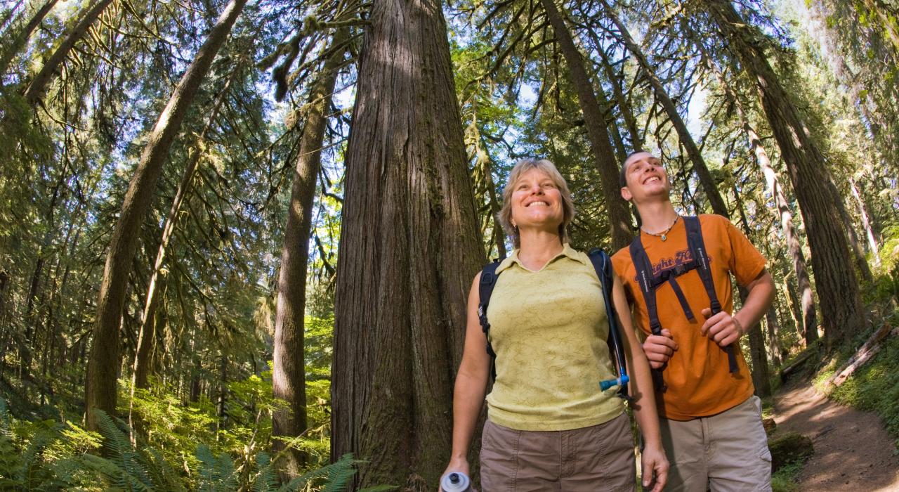 在胡德山国家森林徒步 在胡德山国家森林徒步