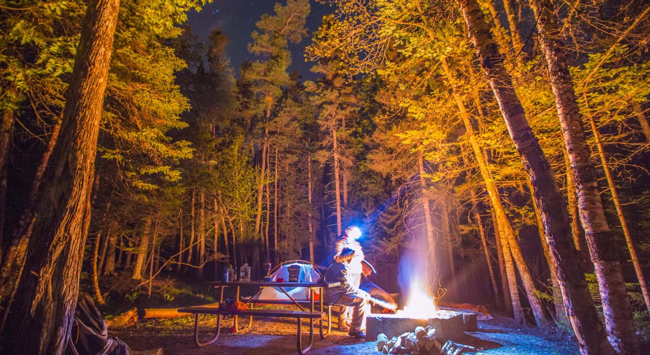 在缅因州临近海岸的芒特迪瑟特岛最顶端的茂密森林中野营 在缅因州临近海岸的芒特迪瑟特岛最顶端的茂密森林中野营