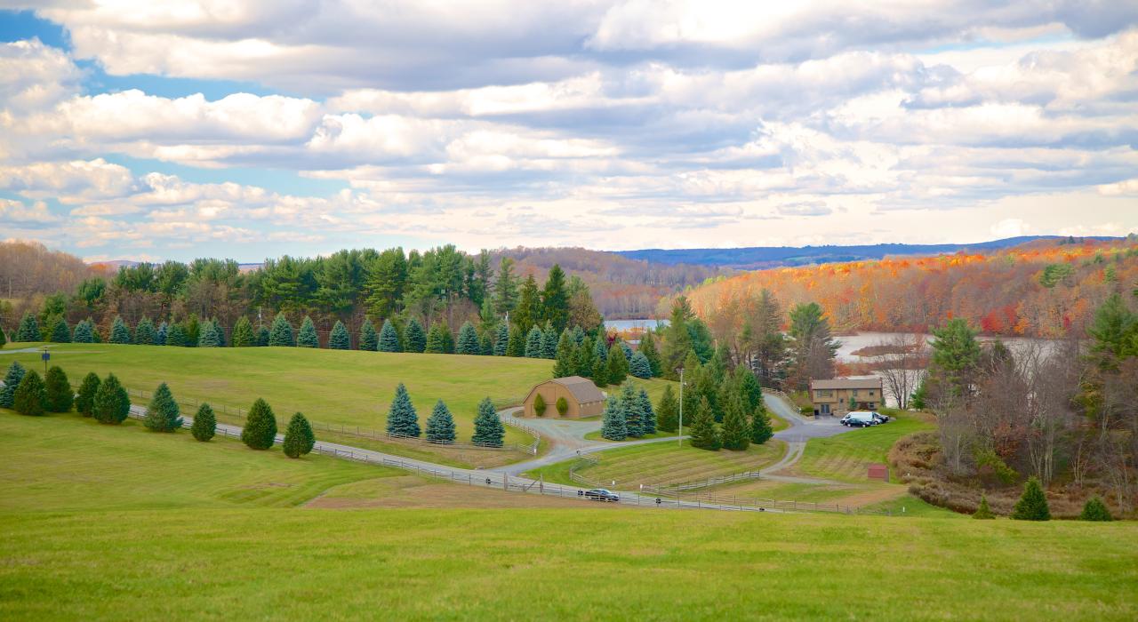 位于纽约州贝塞尔伍兹的伍德斯托克音乐节举办现场 位于纽约州贝塞尔伍兹的伍德斯托克音乐节举办现场