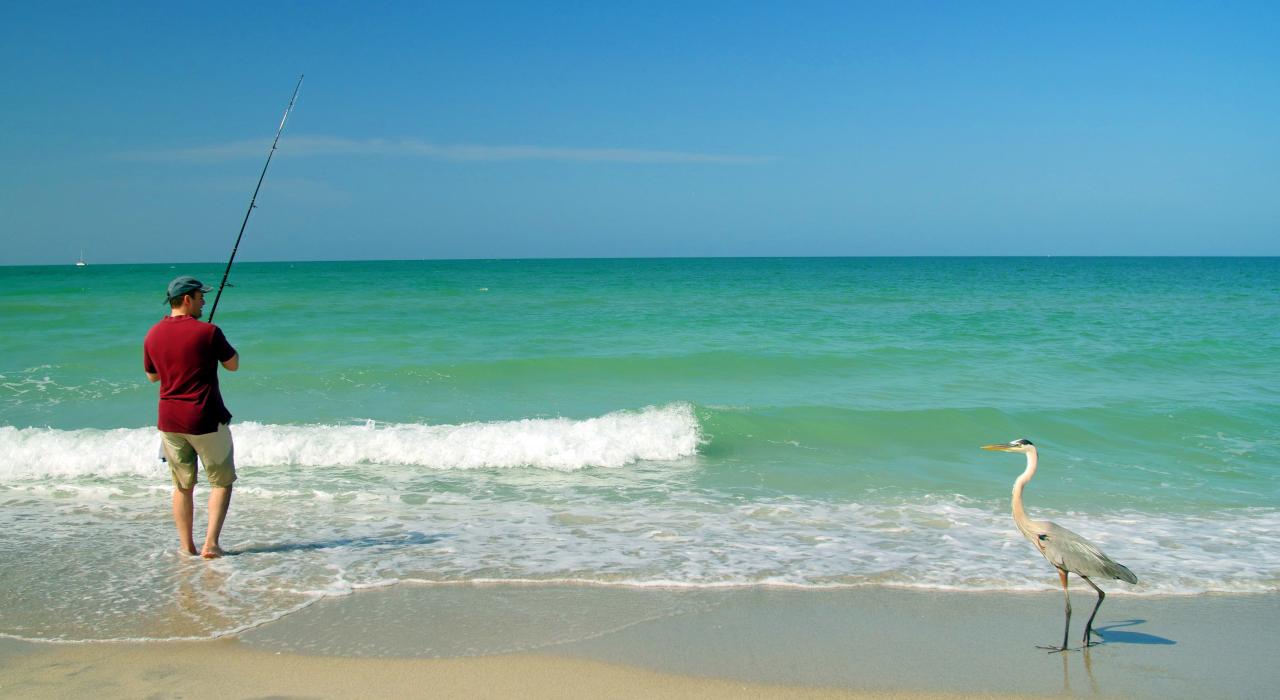 在佛罗里达州夏洛特县海钓，旁边还有一只大蓝鹭