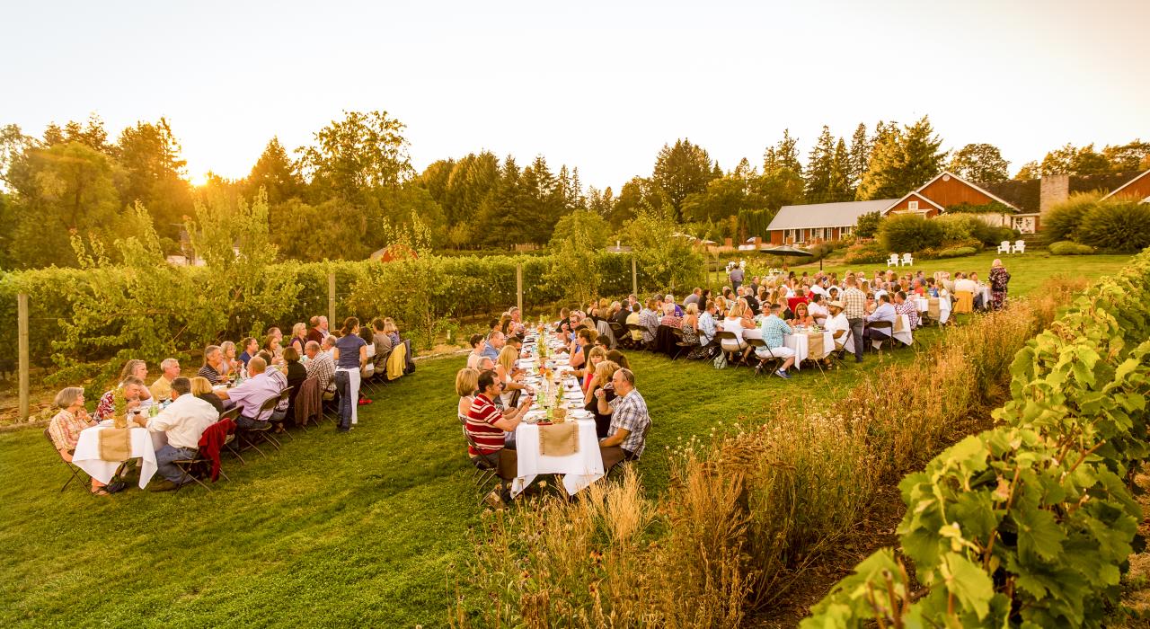 泰比拉酒庄的葡萄田间晚宴 泰比拉酒庄的葡萄田间晚宴