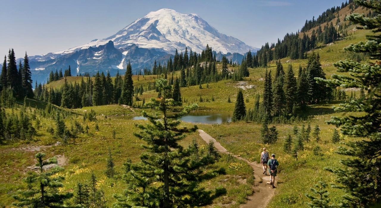 华盛顿州瑞尼尔山阴凉一侧的小径上进行徒步旅行的徒步爱好者 华盛顿州瑞尼尔山阴凉一侧的小径上进行徒步旅行的徒步爱好者