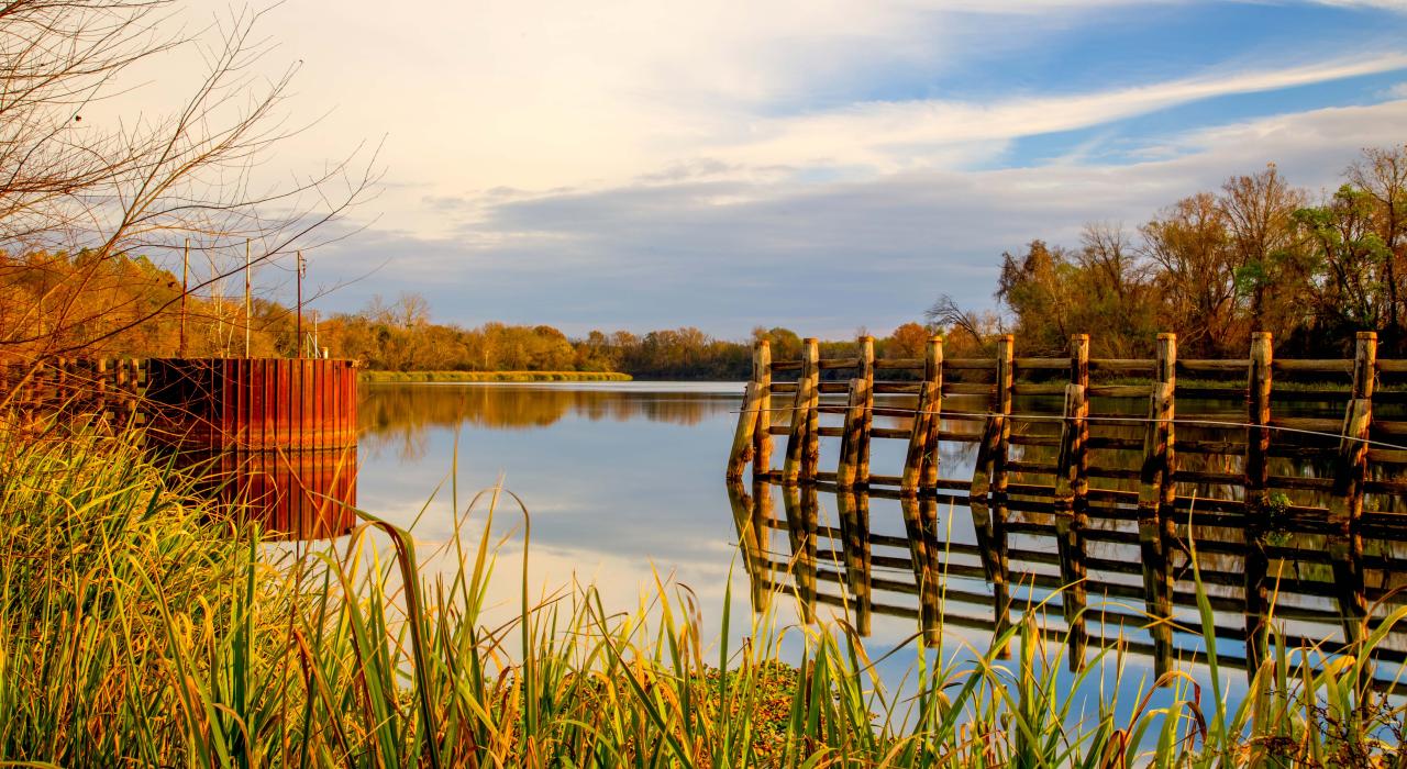 Calm waters of the Savannah River, a natural border of the city Calm waters of the Savannah River, a natural border of the city