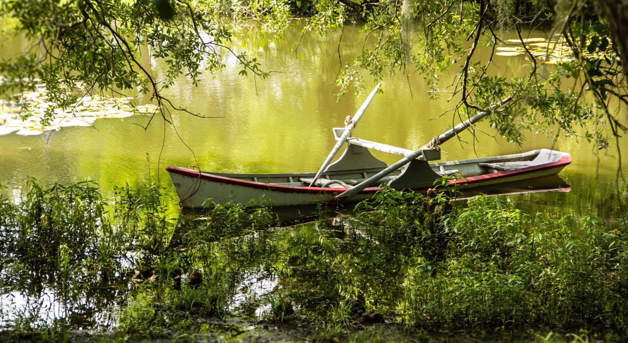 路易斯安那州拉斐特弗米利恩河口区的船只 路易斯安那州拉斐特弗米利恩河口区的船只