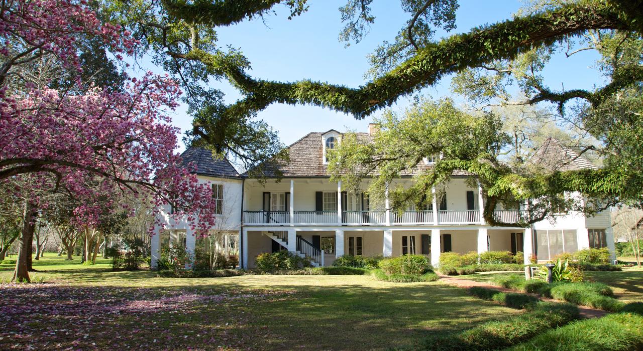 路易斯安那州纳契托什教区梅尔罗斯种植园的前景 路易斯安那州纳契托什教区梅尔罗斯种植园的前景