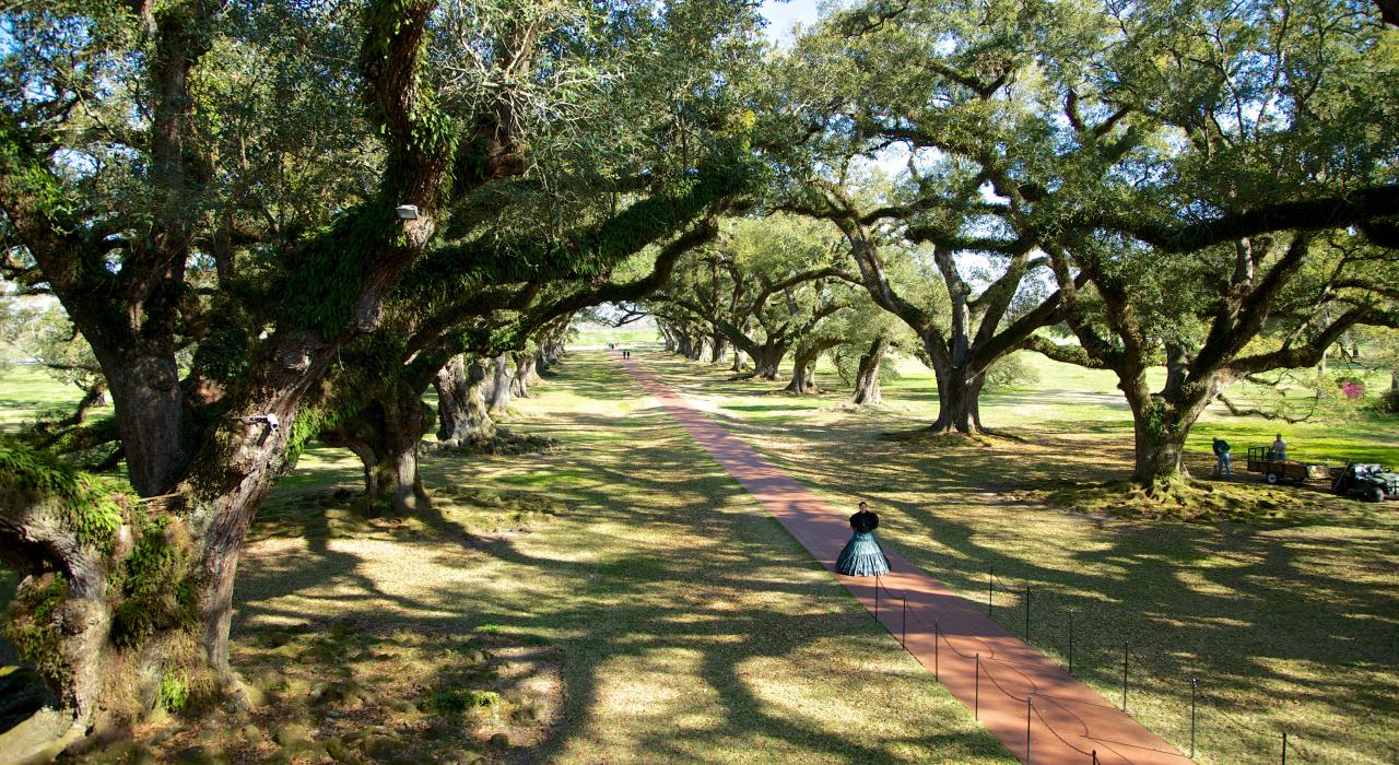 The path leading to Oak Alley Plantation in Louisiana The path leading to Oak Alley Plantation in Louisiana