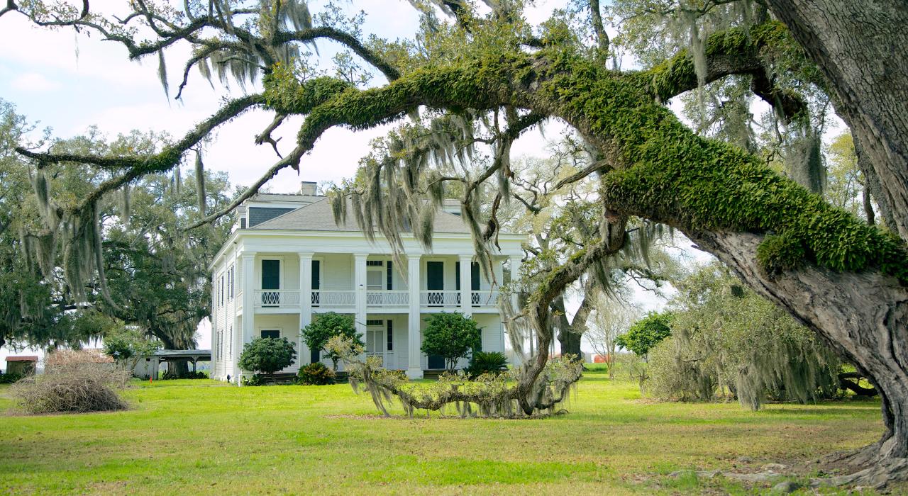 Spanish moss-covered trees surround Oak Alley Plantation in Louisiana Spanish moss-covered trees surround Oak Alley Plantation in Louisiana