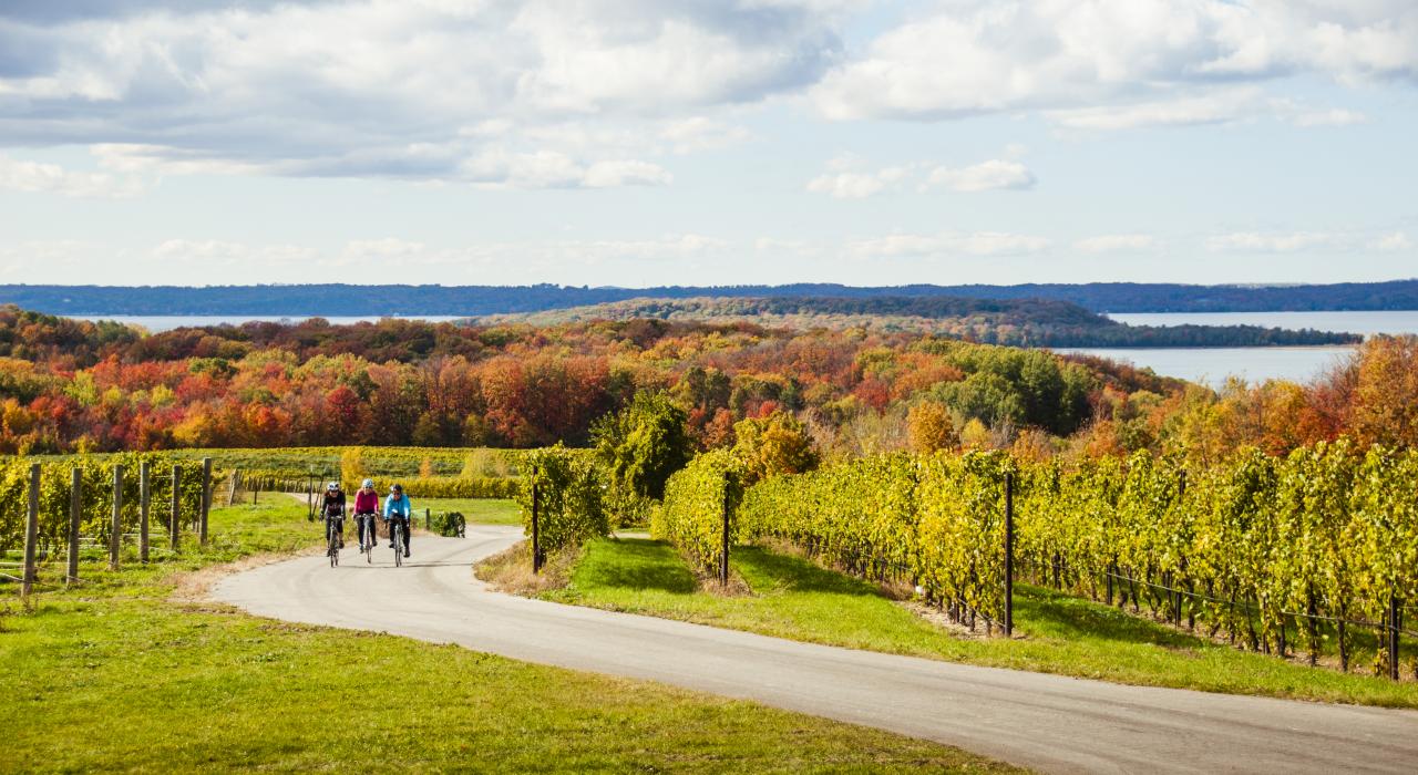 秋季骑车穿越特拉弗斯城葡萄园 秋季骑车穿越特拉弗斯城葡萄园