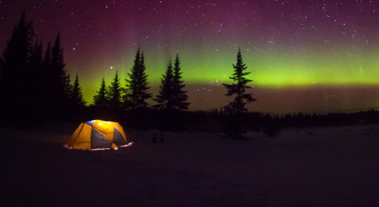 北极光在夜空中舞动 北极光在夜空中舞动