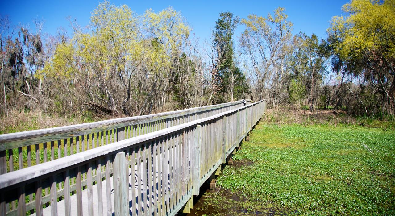 路易斯安那州霍马的长沼步道