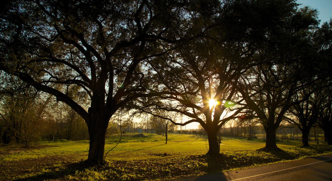 路易斯安那州霍马的美好日落景致