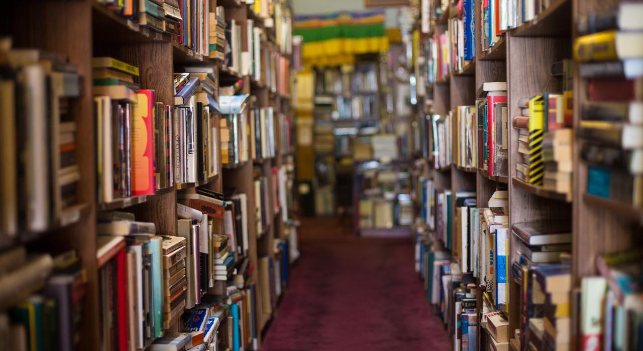 Browsing a record store in Nashville, Tennessee