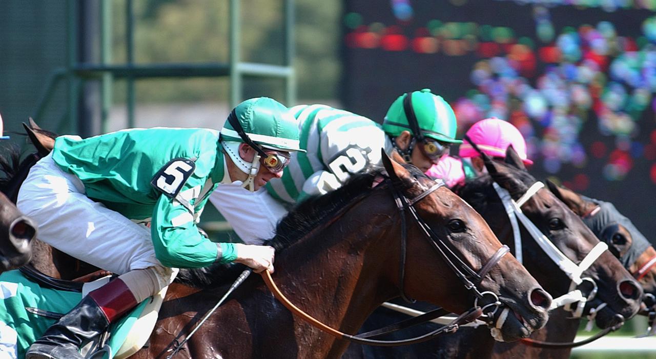 萨拉托加斯普林斯的赛马 萨拉托加斯普林斯的赛马