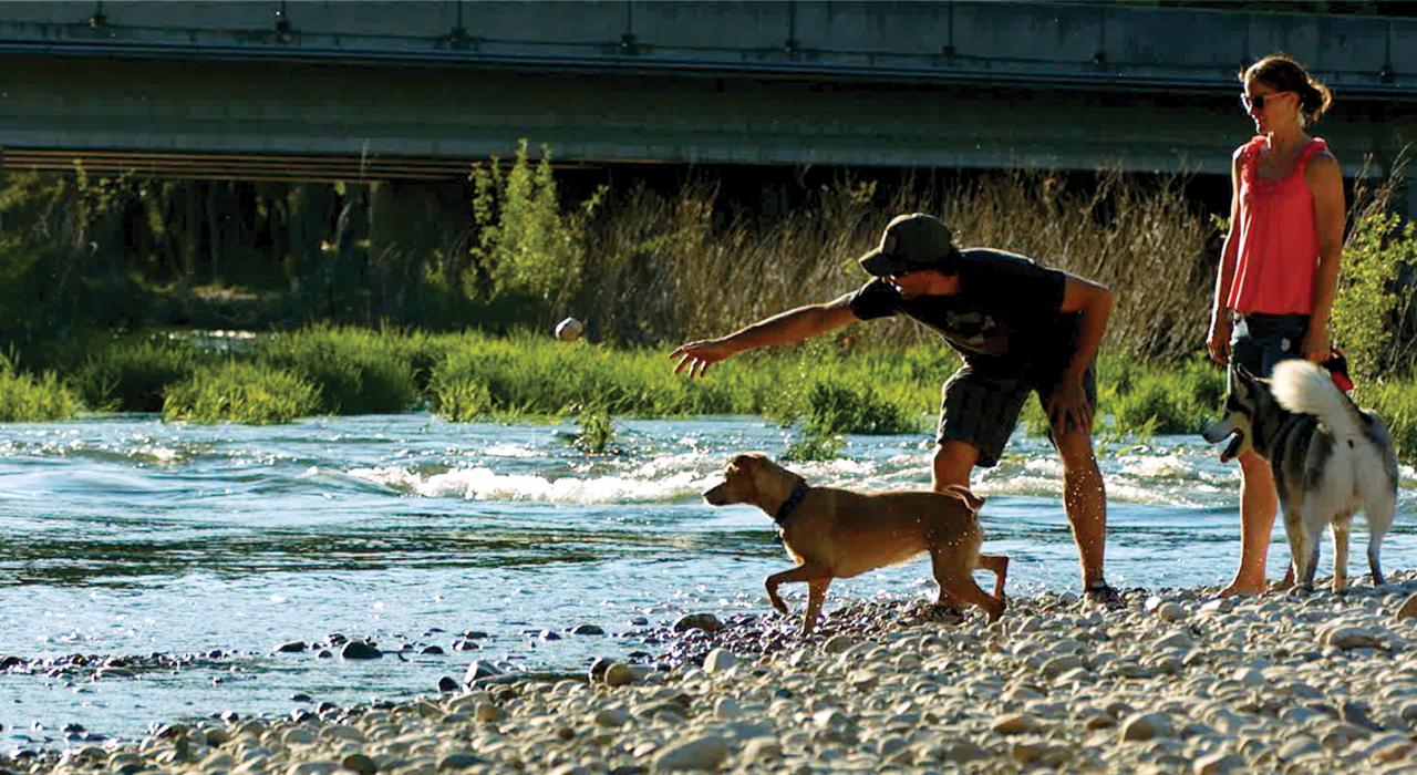 在博伊西河岸悠闲散步，和爱犬玩你丢我捡