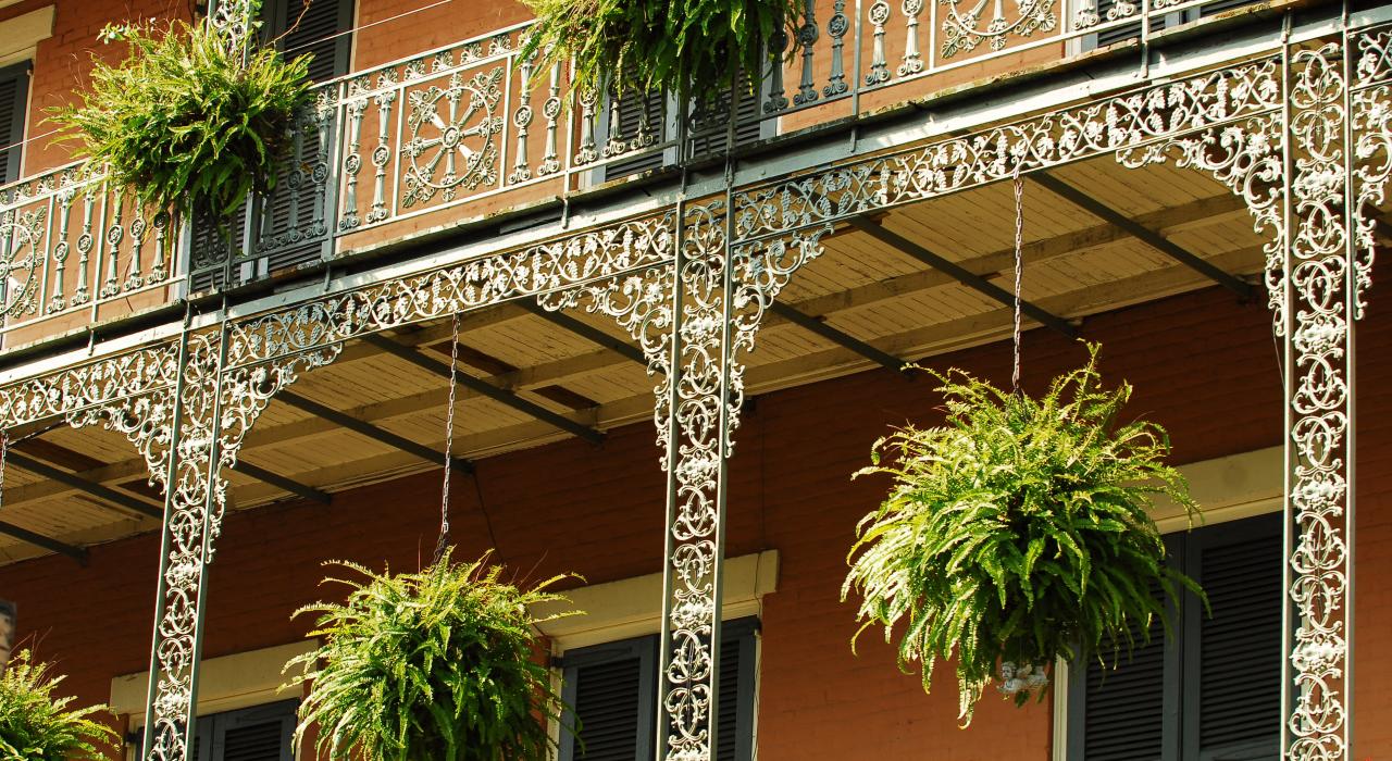 路易斯安那州新奥尔良法国区阳台上的蕨类吊篮 路易斯安那州新奥尔良法国区阳台上的蕨类吊篮